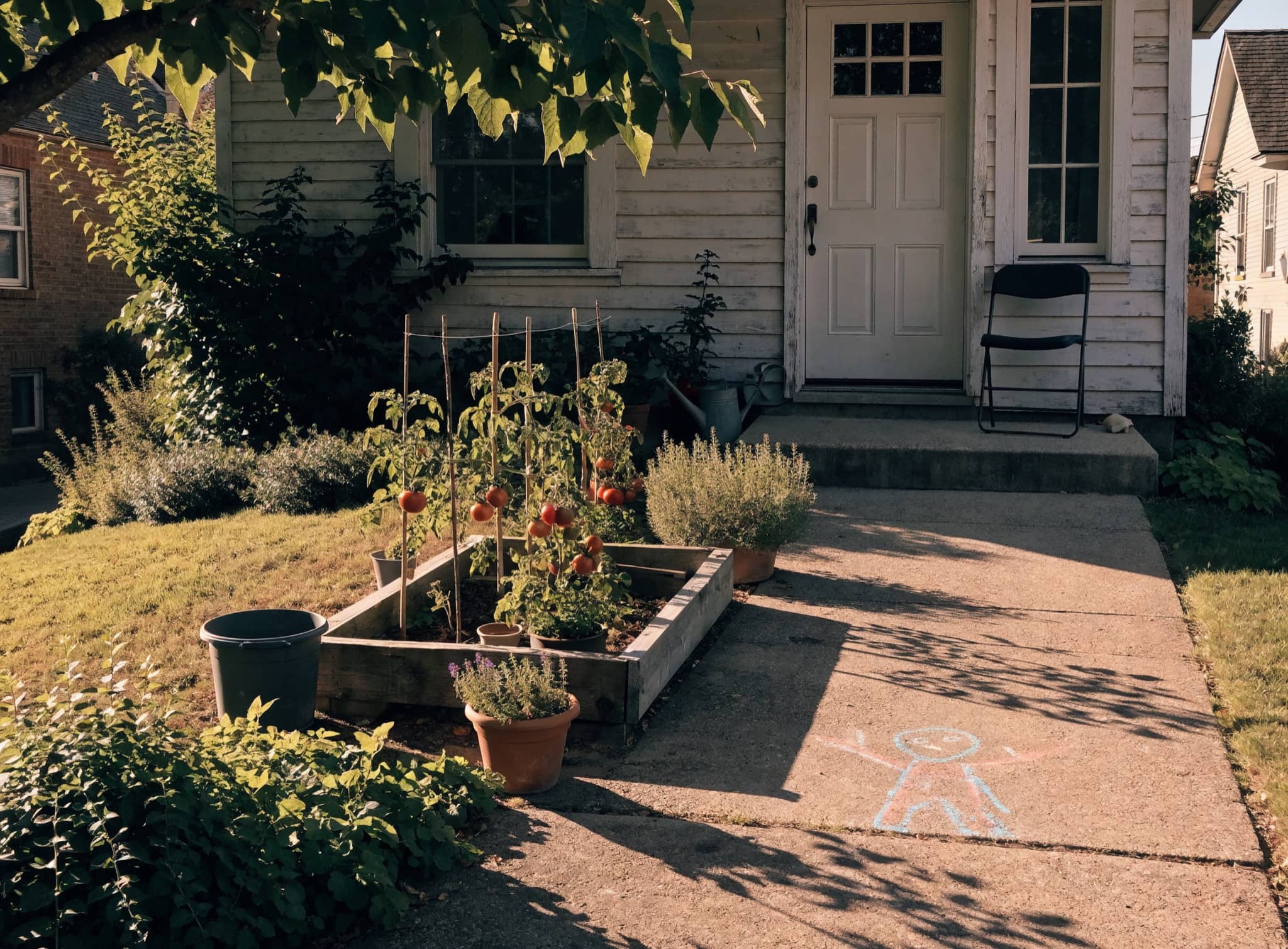 A modest American family home with a productive front garden of staked tomatoes and potted herbs in afternoon light