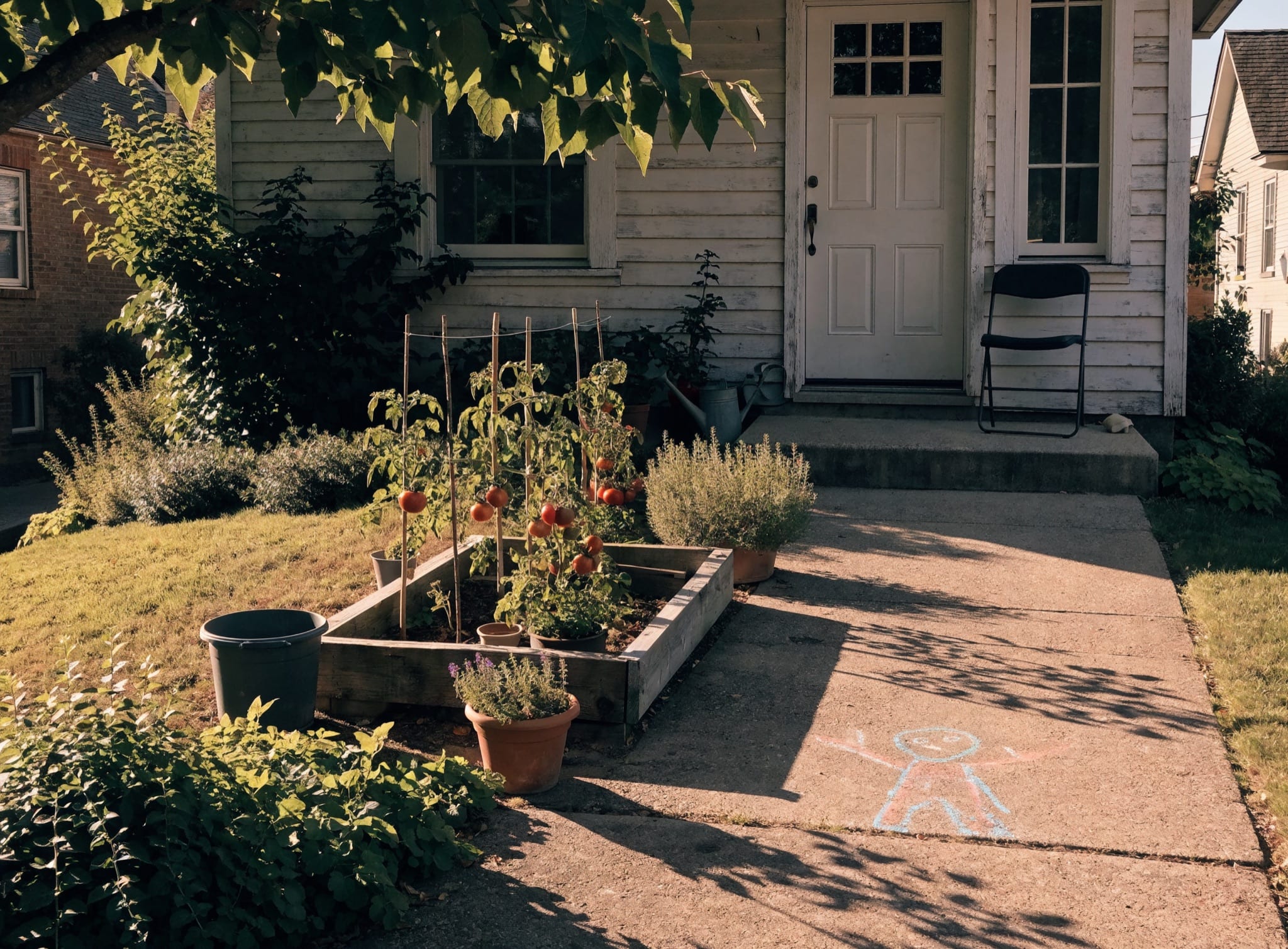 A modest American family home with a productive front garden of staked tomatoes and potted herbs in afternoon light