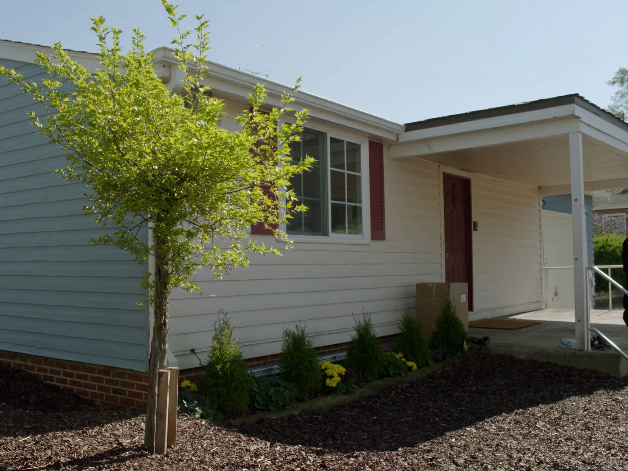 A modest two-storey American home on a bright spring morning with a newly staked tree and fresh mulch